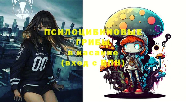 дмт Белокуриха