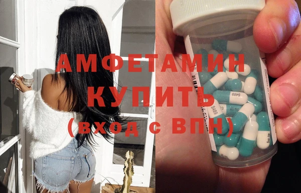 сатива Богданович