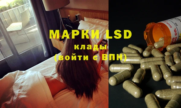сатива Богданович